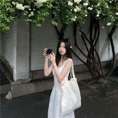 琼楼梦